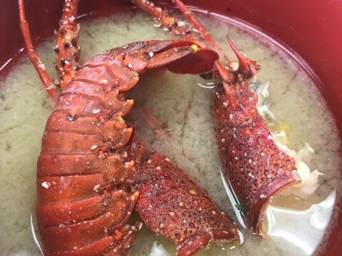 伊勢海老の頭の味噌汁